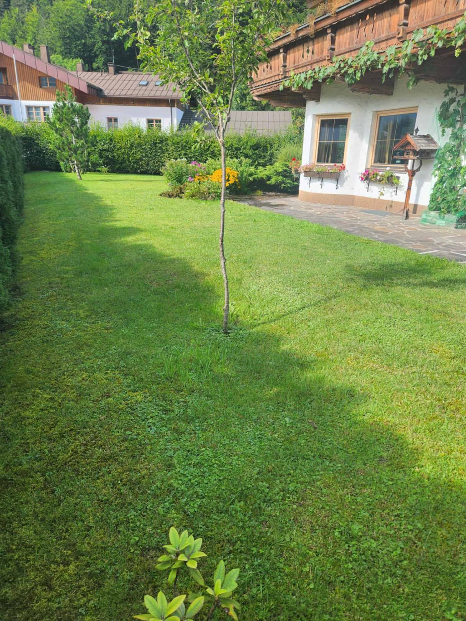 Merryshof Sankt Ulrich am Pillersee Extérieur photo